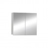 Banio cabinet miroir couleur aluminium 60x70cm