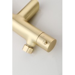 Banio Brass mitigeur bain douche thermostatique avec douchette à mains en laiton brossé / or mat